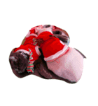 3匹の猫のクリスマス＆お正月！（個別スタンプ：6）