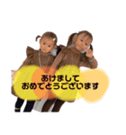 2022寅version（個別スタンプ：9）
