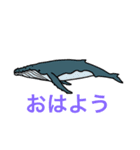 海の生き物(G)（個別スタンプ：3）