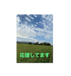 応援したり励ましたり、癒されてほしいな（個別スタンプ：13）