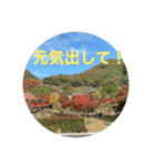 応援したり励ましたり、癒されてほしいな（個別スタンプ：16）