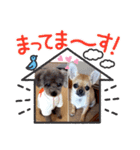 ココなつスタンプⅡ（個別スタンプ：7）