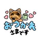 ポン太と桃の日常（個別スタンプ：5）