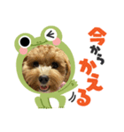 ポン太と桃の日常（個別スタンプ：6）