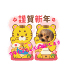 プギーモコクリスマス新年ご挨拶スタンプ（個別スタンプ：2）