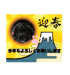 プギーモコクリスマス新年ご挨拶スタンプ（個別スタンプ：3）