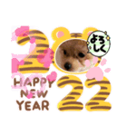 プギーモコクリスマス新年ご挨拶スタンプ（個別スタンプ：4）