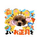 プギーモコクリスマス新年ご挨拶スタンプ（個別スタンプ：7）