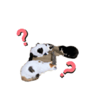 愉快なにゃんず卍（個別スタンプ：8）
