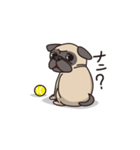 Cute pug dog cocoro（個別スタンプ：6）