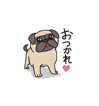 Cute pug dog cocoro（個別スタンプ：7）