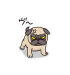 Cute pug dog cocoro（個別スタンプ：10）