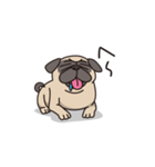 Cute pug dog cocoro（個別スタンプ：12）