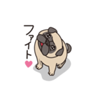 Cute pug dog cocoro（個別スタンプ：14）