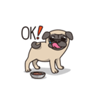 Cute pug dog cocoro（個別スタンプ：15）