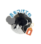みやふぁみstyle（個別スタンプ：3）