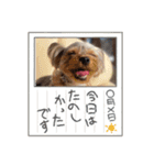 Leoたんの日常スタンプ（個別スタンプ：2）