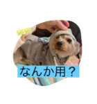 Leoたんの日常スタンプ（個別スタンプ：10）