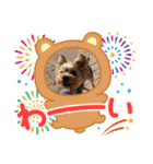 Leoたんの日常スタンプ（個別スタンプ：11）