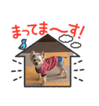 Leoたんの日常スタンプ（個別スタンプ：16）