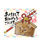 トラとの幸せライフ SP（個別スタンプ：2）