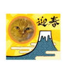 トラとの幸せライフ SP（個別スタンプ：3）