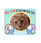 トラとの幸せライフ SP（個別スタンプ：4）