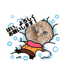 トラとの幸せライフ SP（個別スタンプ：9）