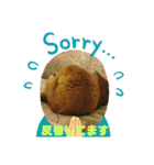 トラとの幸せライフ SP（個別スタンプ：16）