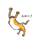 茶トラのメス猫（個別スタンプ：3）