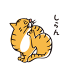 茶トラのメス猫（個別スタンプ：4）