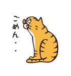 茶トラのメス猫（個別スタンプ：5）