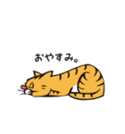 茶トラのメス猫（個別スタンプ：11）