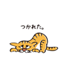 茶トラのメス猫（個別スタンプ：13）