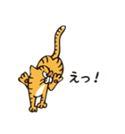 茶トラのメス猫（個別スタンプ：14）