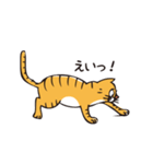 茶トラのメス猫（個別スタンプ：15）