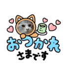 ずっこけ可愛い保護猫たち（個別スタンプ：17）