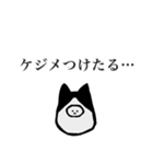 静かな闘志を秘めたハチワレを被った何か（個別スタンプ：11）