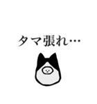 静かな闘志を秘めたハチワレを被った何か（個別スタンプ：38）