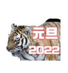 リアル動物日常使えるスタンプ＆2022正月（個別スタンプ：2）