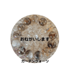 パワーストーンブレスレットスタンプ2（個別スタンプ：5）