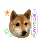 Tumuさんの日常④（個別スタンプ：1）
