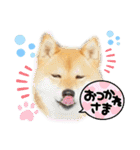 Tumuさんの日常④（個別スタンプ：3）