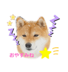 Tumuさんの日常④（個別スタンプ：4）