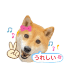 Tumuさんの日常④（個別スタンプ：10）