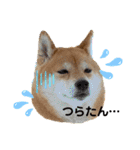 Tumuさんの日常④（個別スタンプ：11）