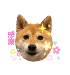 Tumuさんの日常④（個別スタンプ：15）