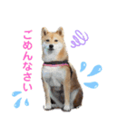 Tumuさんの日常④（個別スタンプ：17）