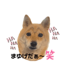 Tumuさんの日常④（個別スタンプ：19）