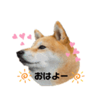 Tumuさんの日常④（個別スタンプ：29）